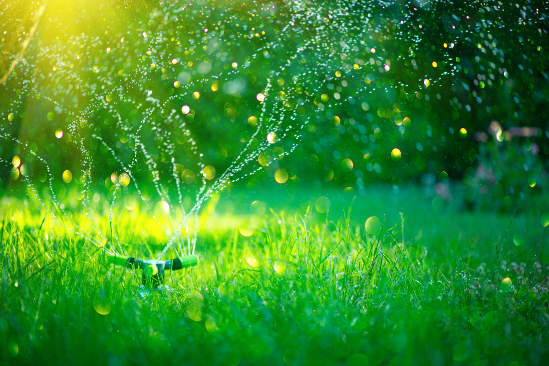 watering-your-lawn